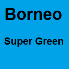 Borneo Super Green - 1 Kilo - Starting at € 45,- per kilo